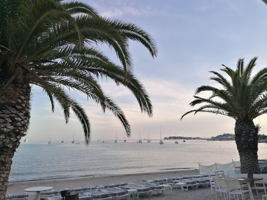 "Le Palmier Dore", Cosy T3 A 3 Minutes A Pied Des Plages, Parking Et Clim Sanary-sur-Mer Exteriér fotografie